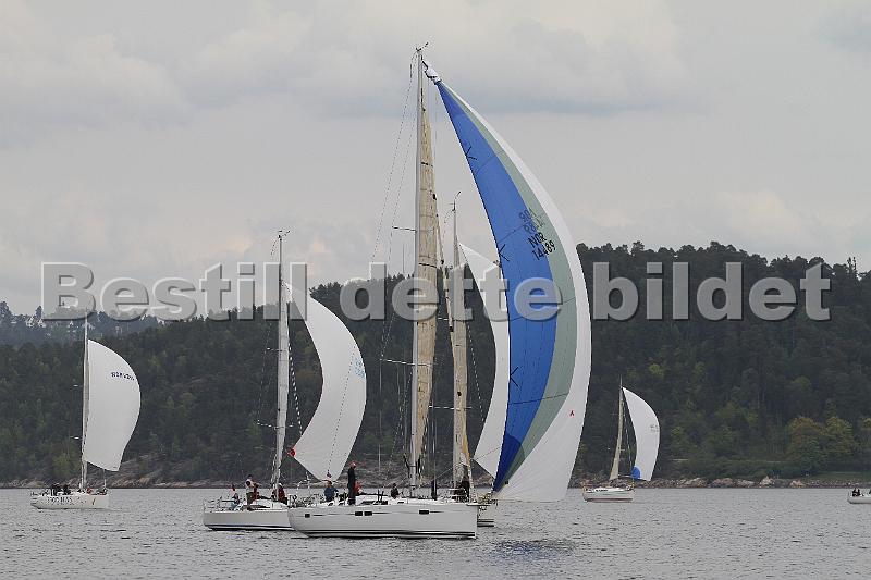 Bundefjorden2012 097.jpg